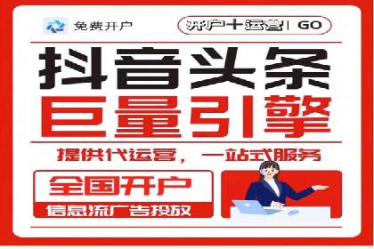抖音信息流代理在电商行业的应用案例分析